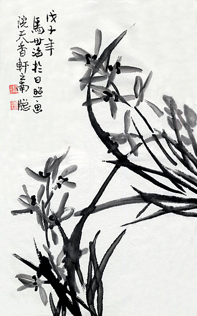 近代画.马世治_兰于日照画院_兰_6237.10008