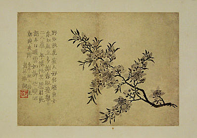 清代画.金农_花卉图册_浙江省博物馆_8_4294.3000