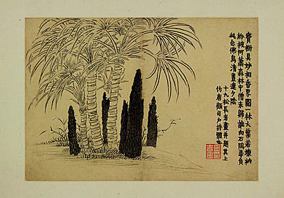 清代画.金农_花卉图册_浙江省博物馆_5_4294.3000