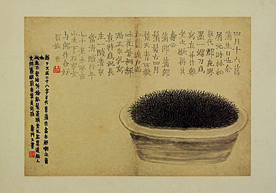 清代画.金农_花卉图册_浙江省博物馆_1_4294.3000