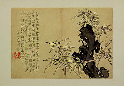 清代画.金农_花卉图册_浙江省博物馆_11_4294.3000