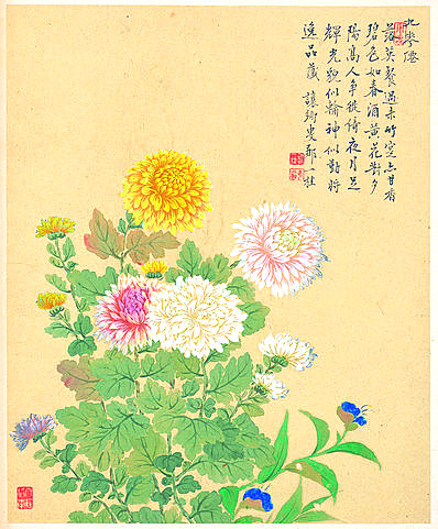 清代画.邹一桂_花卉八开_菊花图_纸本_3088x3732_300dpi