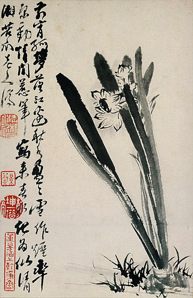 清代画.石涛_花鸟图册开_纸本_11_3165.4866