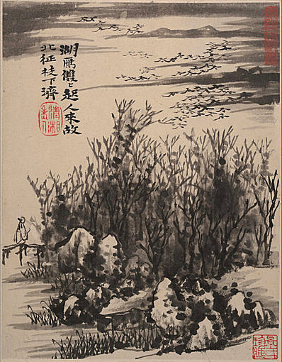 清代画.石涛_花卉山水册页开_大都会博物馆_9_3395.4346