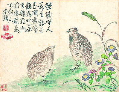 清代画.李鱓_花鸟册十开_11_3475.2680