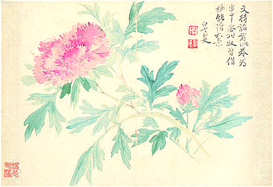 清代画.恽寿平_花卉十开_牡丹图_纸本_3912.2680