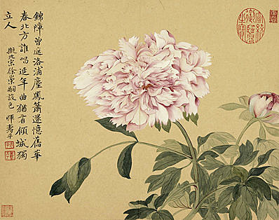 清代画.恽寿平_山水花卉_牡丹_清代画.恽寿平_台_2991.2363