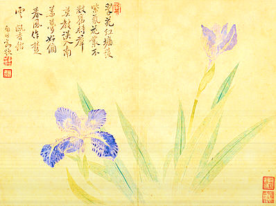 清代画.华嵒_花鸟草虫八开_华嵒花鸟草_5_4309.3228