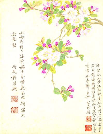 明代画.项圣谟_花卉十开_纸本_825.1074