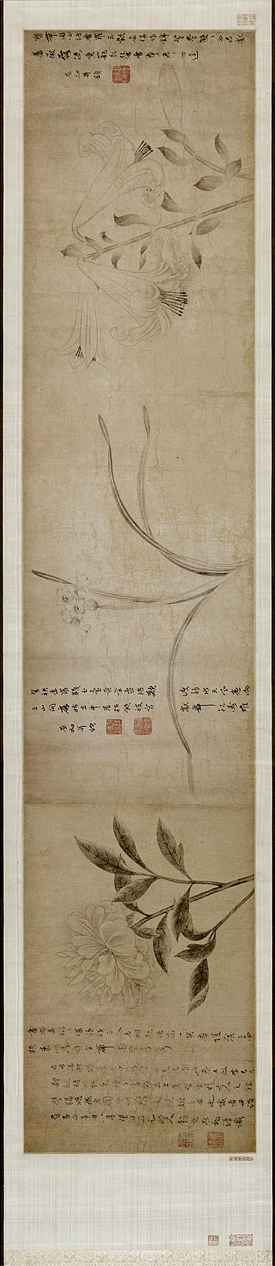 元代画.赵衷_三花图卷_纸厘_16309.3543