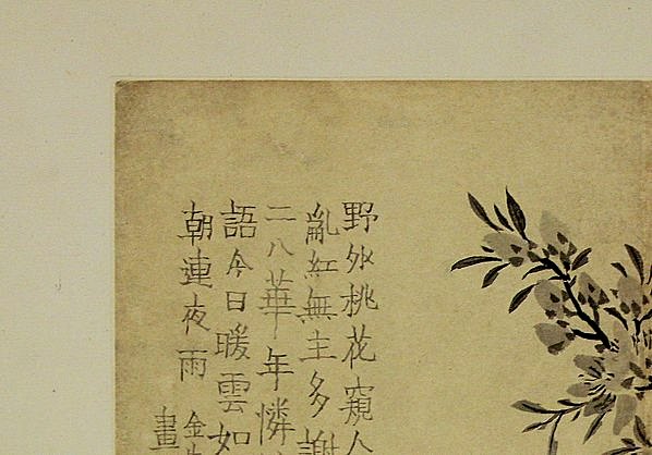 清代画.金农_花卉图册_浙江省博物馆_8_4294.3000