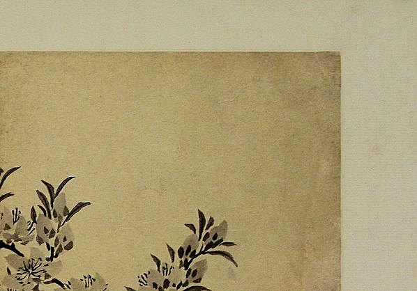 清代画.金农_花卉图册_浙江省博物馆_8_4294.3000