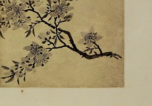 清代画.金农_花卉图册_浙江省博物馆_8_4294.3000