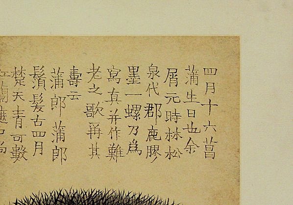 清代画.金农_花卉图册_浙江省博物馆_1_4294.3000