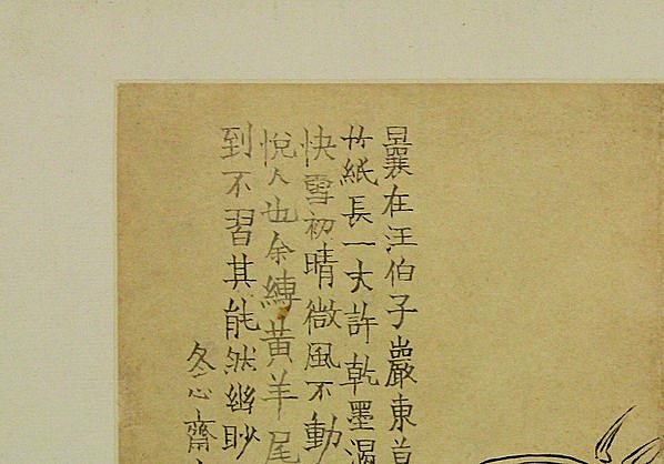 清代画.金农_花卉图册_浙江省博物馆_11_4294.3000