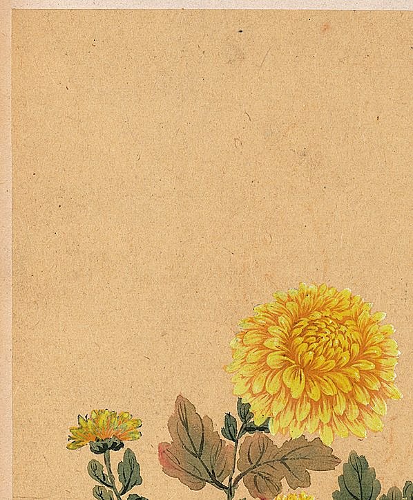 清代画.邹一桂_花卉八开_菊花图_纸本_3088x3732_300dpi