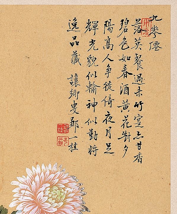 清代画.邹一桂_花卉八开_菊花图_纸本_3088x3732_300dpi