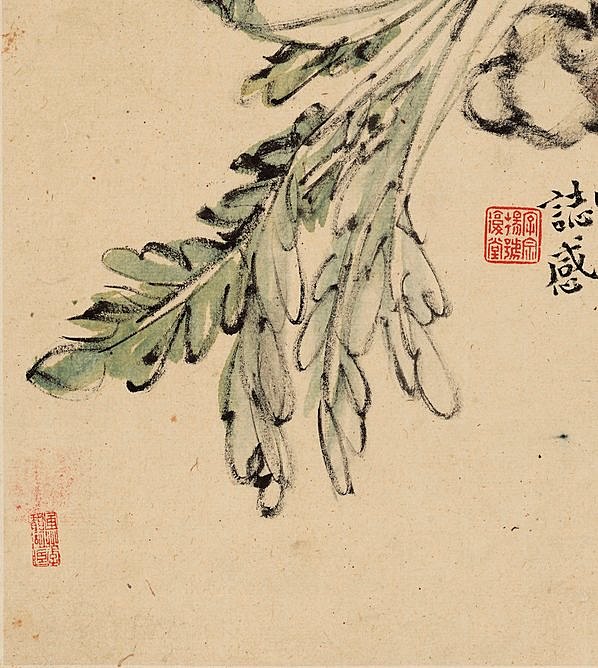 清代画.李鱓_花卉十二开_7_3906.4362