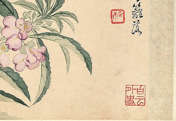 清代画.恽寿平_花卉十开_纸本_2_3898.2693