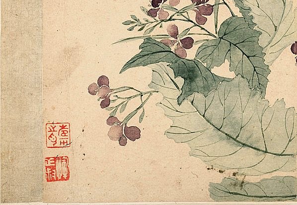 清代画.恽寿平_花卉十开_纸本_21_3898.2693