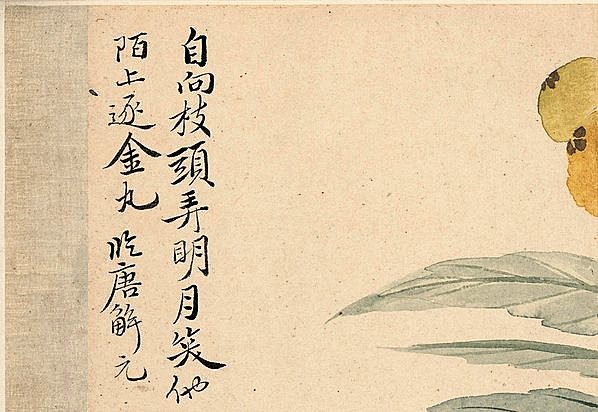 清代画.恽寿平_花卉十开_纸本_11_3898.2688