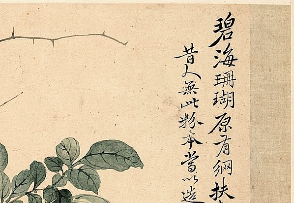 清代画.恽寿平_花卉十开_纸本_111_3922.2705