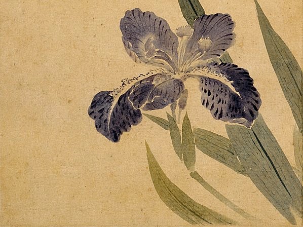 清代画.华嵒_花鸟草虫八开_华嵒花鸟草_5_4309.3228