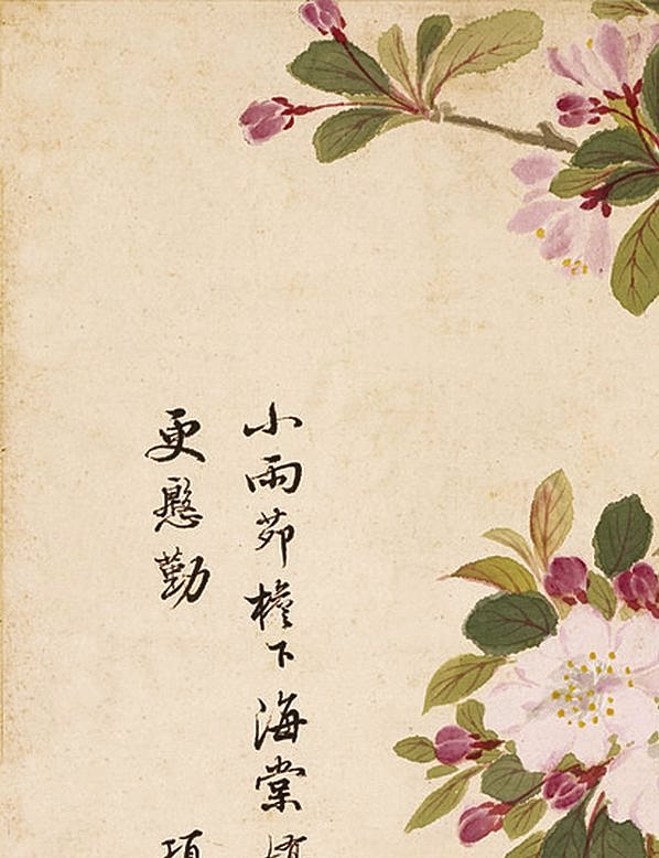 明代画.项圣谟_花卉十开_纸本_825.1074