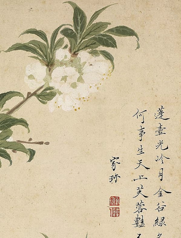 明代画.项圣漠_花卉_3792.4988