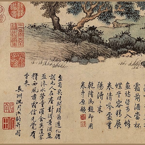 明代画.沈周_盆菊幽赏图卷_纸本_12129.3348