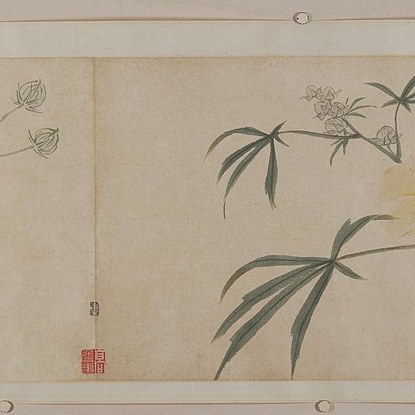 明代画.沈周_四季花卉卷纸本_64537.3248