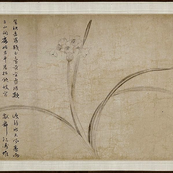 元代画.赵衷_三花图卷_纸厘_16309.3543