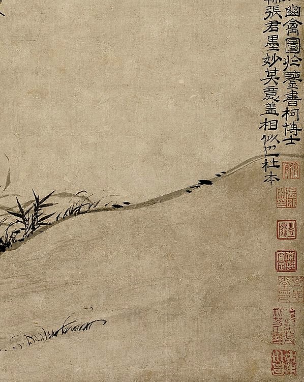 元代画.张彦辅_棘竹幽禽图纸本_纳尔_6005.7535