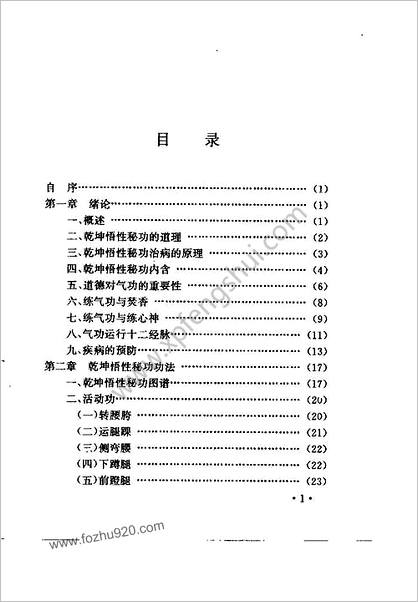 中国干坤悟性秘功.安飞