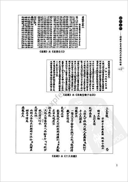 中和正脉-道教中派李道纯内丹修炼秘籍.董沛文