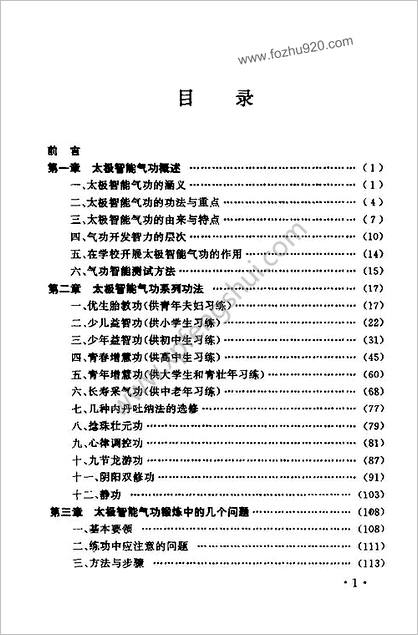 太极智能气功.吴一