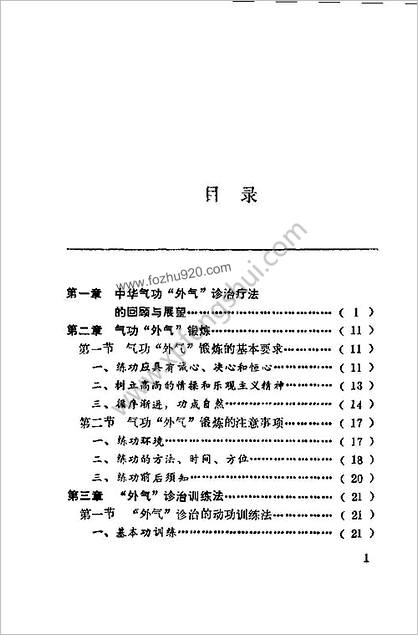 峨嵋临济气功-峨嵋外气诊治应用与硬气功.傅伟中