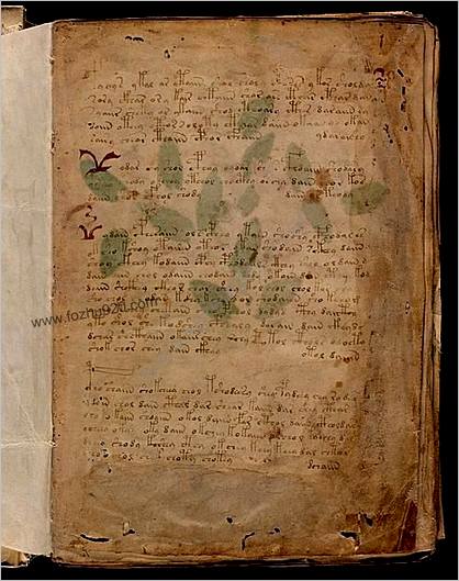 伏尼契手稿.Voynich.manuscript.高清.耶鲁大学图书馆藏.约十五世纪