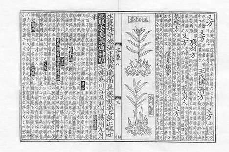 《重修政和经史证类备用本草》蒙古定宗四年张存惠晦明轩刻本_卷九