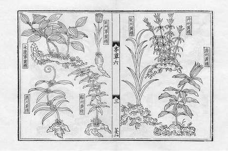 《重修政和经史证类备用本草》蒙古定宗四年张存惠晦明轩刻本_卷七