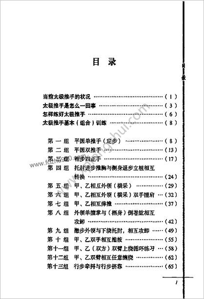 [太极推手真传].李亭全