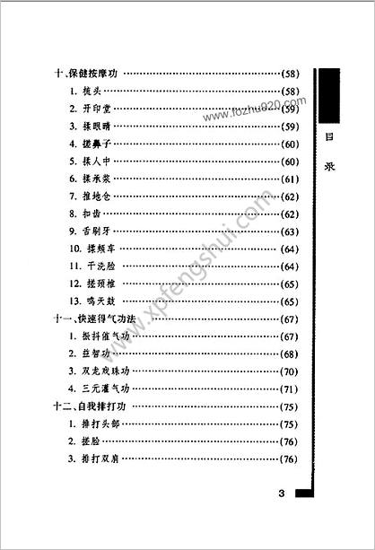 [少林气功内劲一指禅教程].王瑞亭