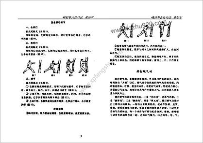 [峨眉拳古传功法].董如军