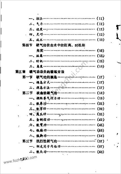 [硬气功技击术].安在峰