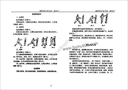 峨眉拳古传功法董如军