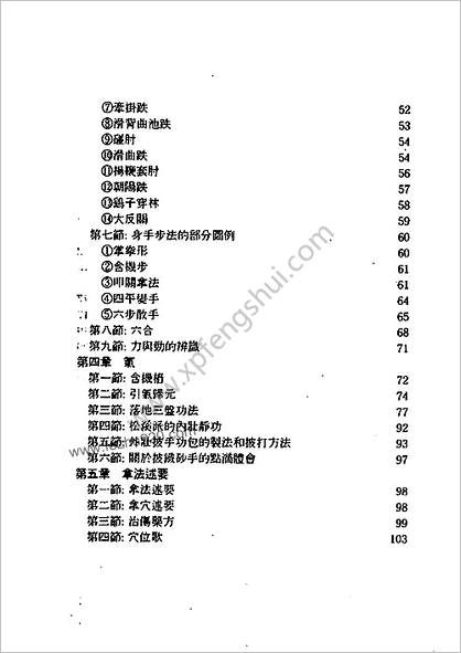 武当松溪派内家拳王维慎