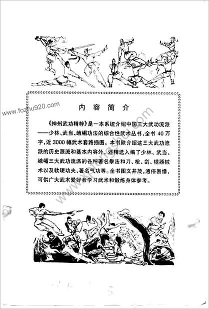 神州武功精粹—中国三大武功流派少林_武当_峨嵋功法裴锡荣_杨戈_李春生_王铁麟