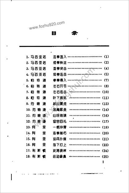 世界拳王争霸绝技_安迪