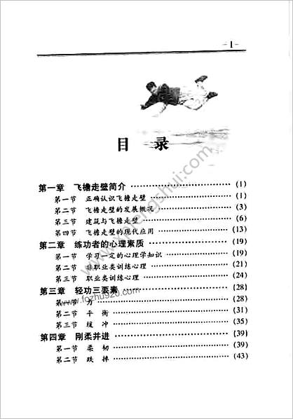 中华武术轻功_飞檐走壁_葛强