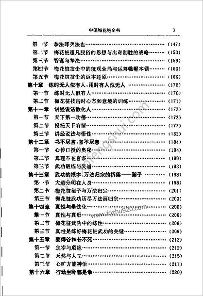 中国梅花桩文武大法_中华武术之魂_燕子杰着